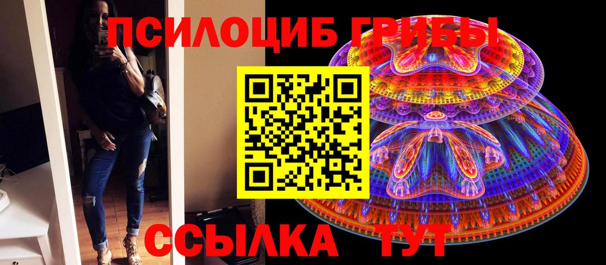 Галлюциногенные грибы прущие грибы Сорочинск