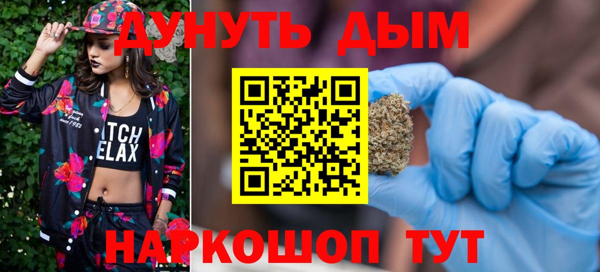 Каннабис сатива Сорочинск